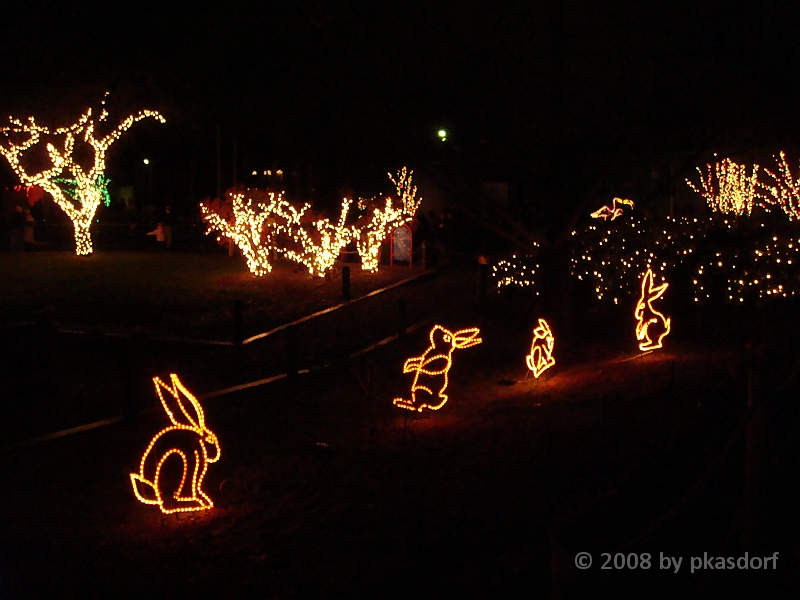 047 Toledo Zoo Light Show [2008 Dec 27].JPG - Scenes from the Toledo Zoo Light Show.